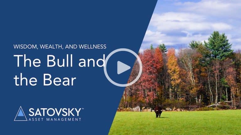 The Bull and the Bear image for Jonathan Satovsky VLOG